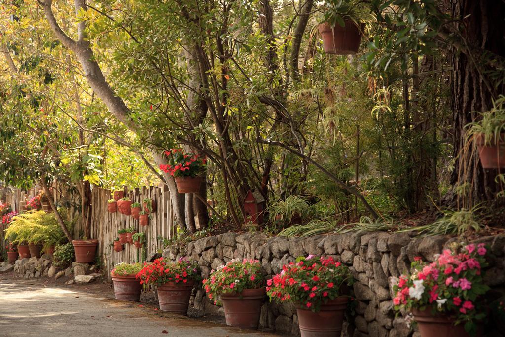 Old Monterey Inn Dış mekan fotoğraf